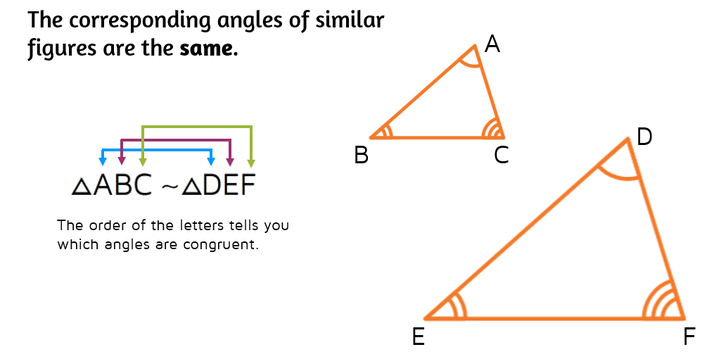 The corresponding angles of similar figures are the same. The order of the letters in the similarity statement tells you which angles are congruent.