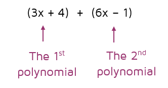 Adding polynomials.
