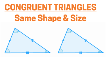 What are congruent triangles? Congruent triangles have the exact same size and shape.